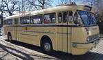 Ikarus 66 der Dresdner Verkehrsbetriebe in Dresden.