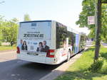 Heckpartie des MAN Lion's City OHV-VK53 der OVG aus Oranienburg für Shuttle Fahrten zur ILA 2018 bereit.