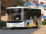 MAN Lion's City/Caetano der VVR in Binz.