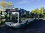 Mercedes Citaro II der Neubrandenburger Verkehrsbetriebe in Neubrandenburg.