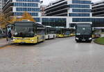 SEV-Treffen am 31.10.2023 in H�he Rostock Hauptbahnhof/S�d.