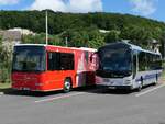 Volvo 8700 und MAN Lion's Regio der VVR in Sassnitz.