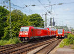 
Paralleleinfahrt zweier RE der DB Regio NRW in den Bahnhof Köln Messe/Deutz am 01.06.2019.
Die 146 274 (91 80 6146 274-6 D-DB) mit dem RE 5 “Rhein-Express“ nach Wesel. 
Davor (rechts im Bild) der ET 425 098-1 als RE 8 “Rhein-Erft-Express“ z.Z. nur bis Troisdorf fahrend.

Die 146 274-6 wurde 2015 von Bombardier in Kassel gebaut.